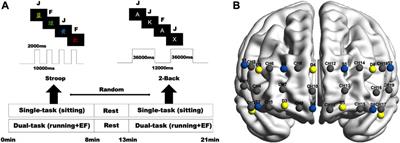 Runners with better cardiorespiratory fitness had higher prefrontal cortex activity during both single and exercise-executive function dual tasks: an fNIRS study